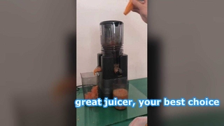 Juicer 